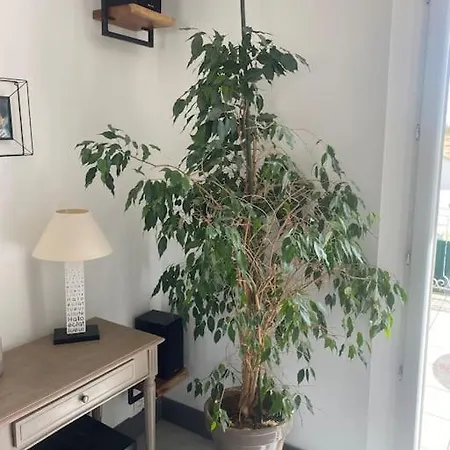Vakantiehuis Maison De Famille Ile De Re 3 Etoiles