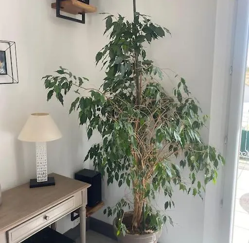 Сasa de vacaciones Maison De Famille Ile De Ré 3 étoiles